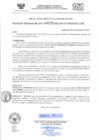 Vista preliminar de documento RD- 3175