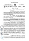 Vista preliminar de documento RD_0017-2023