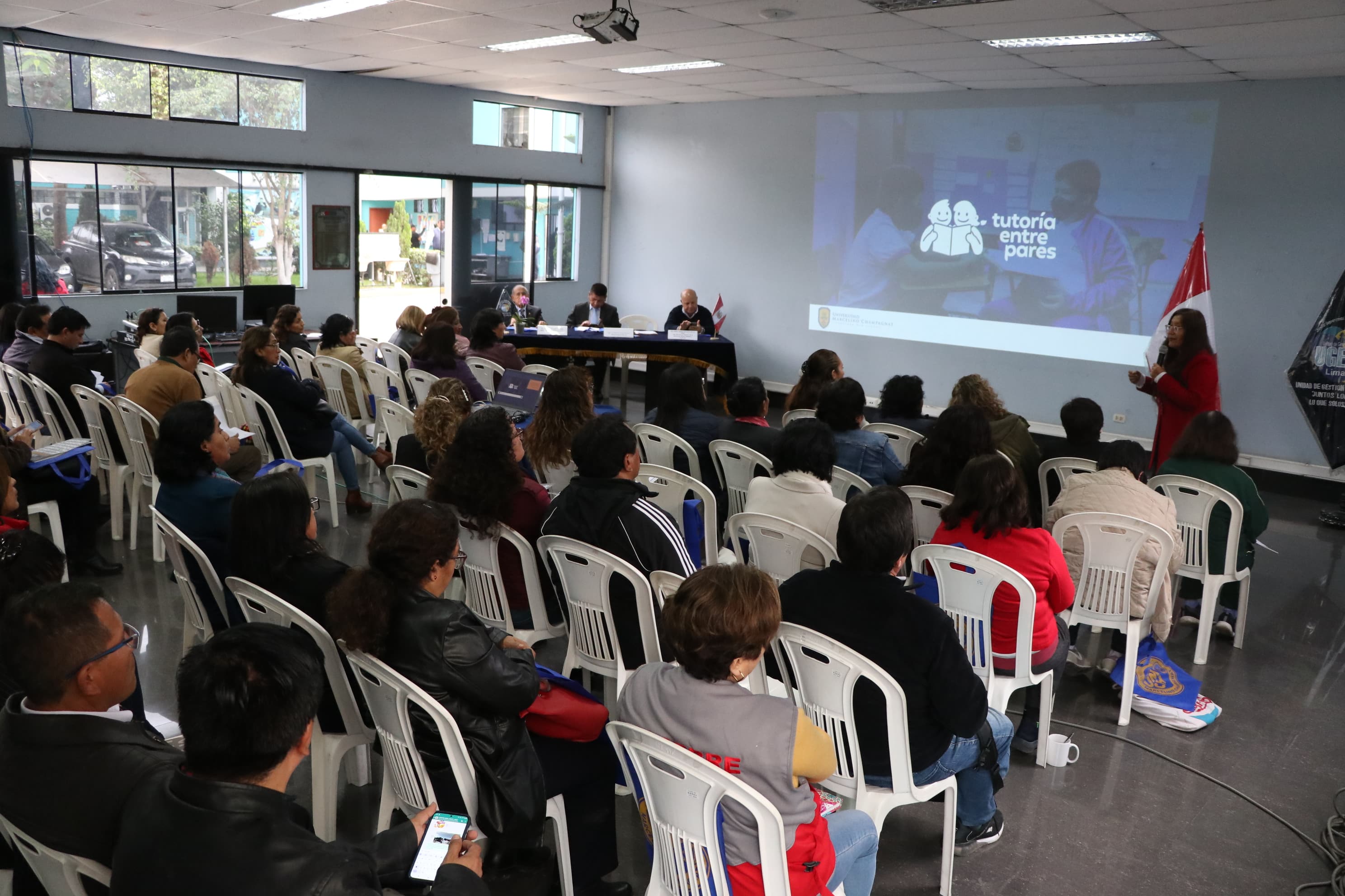 Proyecto: Recuperación y aceleración de aprendizajes por medio de la tutoría entre pares en la UGEL 01