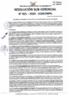 Vista preliminar de documento RSG 821-2023-SGDP