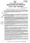 Vista preliminar de documento RSG 823-2023-SGDP