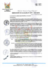 Vista preliminar de documento RA 374-2023-MPHH
