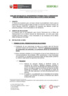 Vista preliminar de documento ANEXO N 001