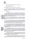 Vista preliminar de documento Resolucion GM N°317-2023-MDLM