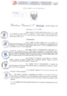 Vista preliminar de documento Resolución Directoral. N° 2289 - 2023 