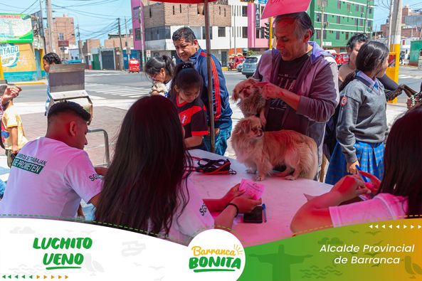 veterinaria