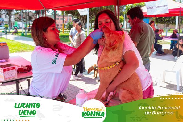 veterinaria
