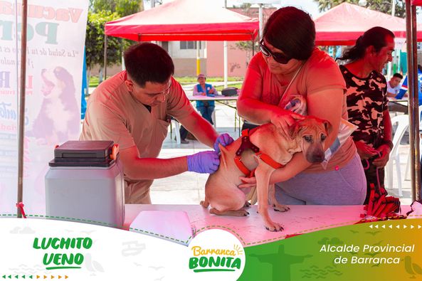 veterinaria