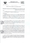 Vista preliminar de documento RD- 3176