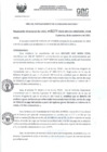 Vista preliminar de documento RD- 3177