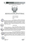 Vista preliminar de documento RESOLUCION JEFATURAL N0072-2023-INPE-OIP