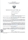 Vista preliminar de documento RD- 3198