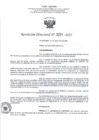 Vista preliminar de documento RD- 3201