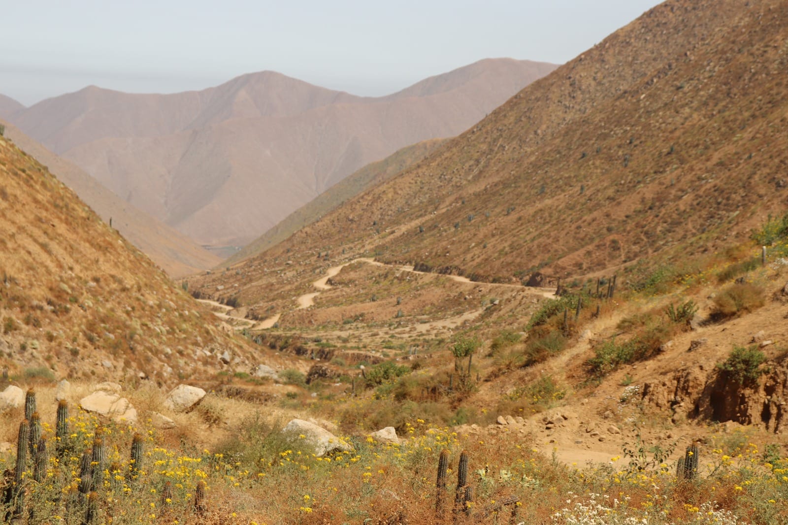Comunidad Campesina de Cucuya.