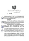Vista preliminar de documento RD 269-2019