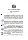 Vista preliminar de documento RD 294-2019