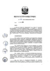 Vista preliminar de documento RD 313-2019