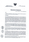 Vista preliminar de documento RD Nº 520-2019-DE-HSJL_POI_2020