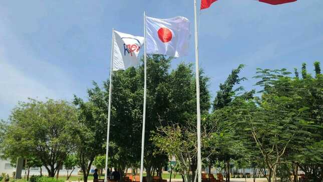 Piura por primera vez envía 35 toneladas de uva de mesa a Japón II