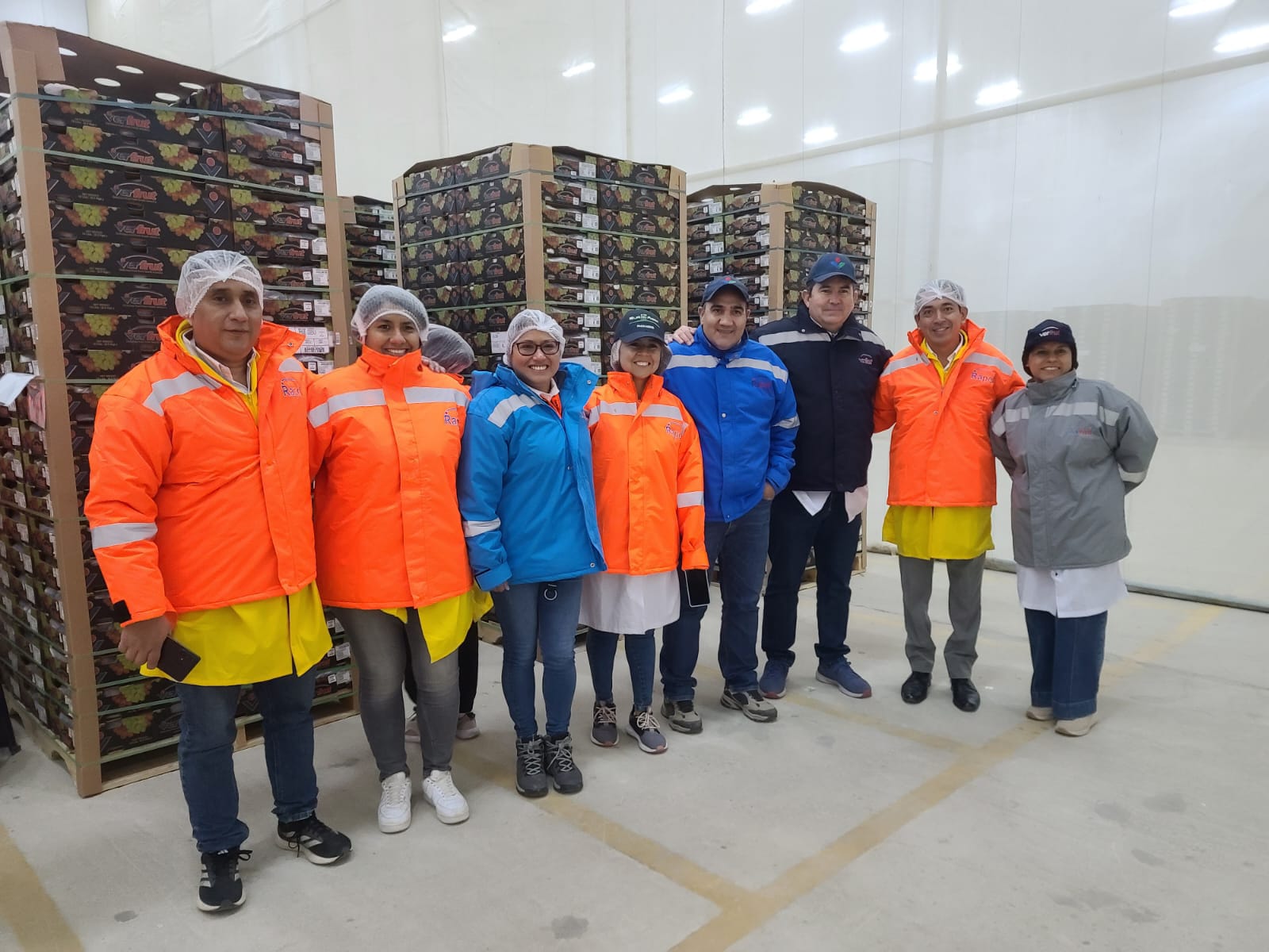 Piura por primera vez envía 35 toneladas de uva de mesa a Japón