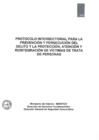 Vista preliminar de documento PROTOCOLO INTERSECTORIAL DE TRATA DE PERSONAS (Parte 1)