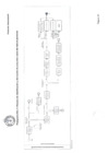 Vista preliminar de documento PROTOCOLO INTERSECTORIAL DE TRATA DE PERSONAS (Parte 2)