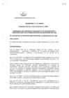 Vista preliminar de documento 2008.11.26-Ordenanza-N°-377-2008-MDMM