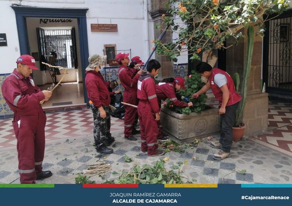 Esta vez, con el apoyo de los alumnos de la Escuela Taller San Antonio, quienes se especializan en Jardinería y Floricultura,💐y los colaboradores de la Biblioteca Municipal José Gálvez Egúsquiza, se viene realizando trabajos en todo el patio central