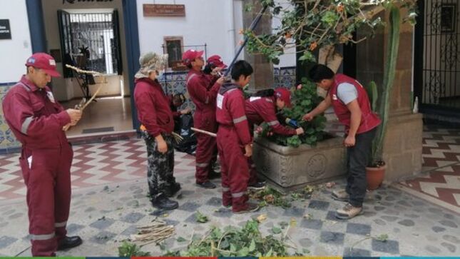Esta vez, con el apoyo de los alumnos de la Escuela Taller San Antonio, quienes se especializan en Jardinería y Floricultura,💐y los colaboradores de la Biblioteca Municipal José Gálvez Egúsquiza, se viene realizando trabajos en todo el patio central 