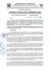 Vista preliminar de documento 2022-08-04_RGR_732-2022-GOREMAD-GRFFS