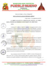 Vista preliminar de documento R.A-N-255-2023-MDPN-F