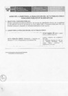 Vista preliminar de documento 5. Realización del Acto Público Único