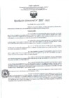Vista preliminar de documento RD- 3307