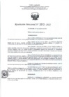 Vista preliminar de documento RD- 3313