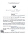 Vista preliminar de documento RD- 3316