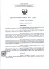 Vista preliminar de documento RD- 3317