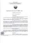 Vista preliminar de documento RD- 3336
