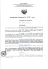 Vista preliminar de documento RD- 3337