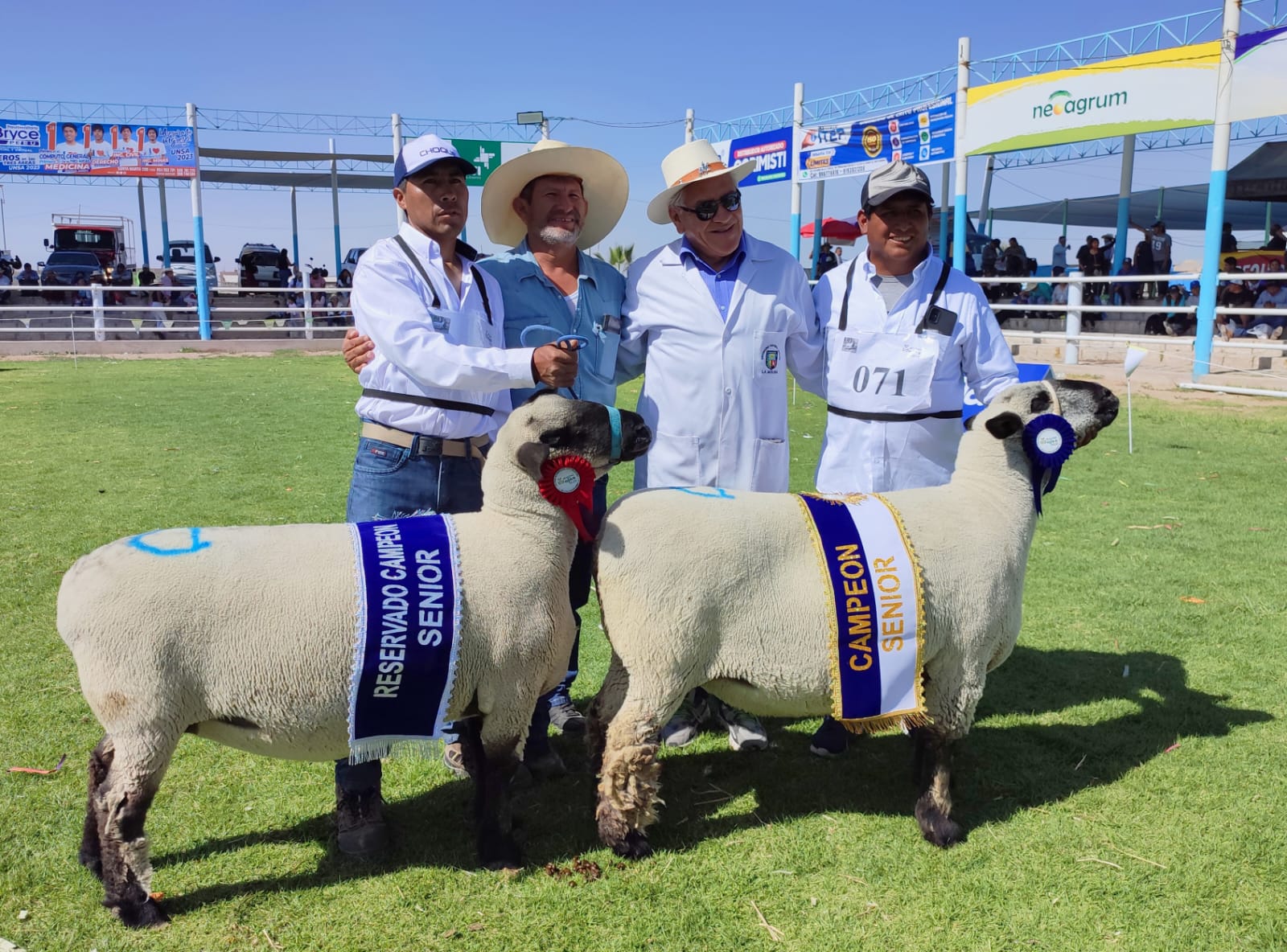 Ganaderos de Candarave arrasaron con los primeros premios en Expo Majes 2023