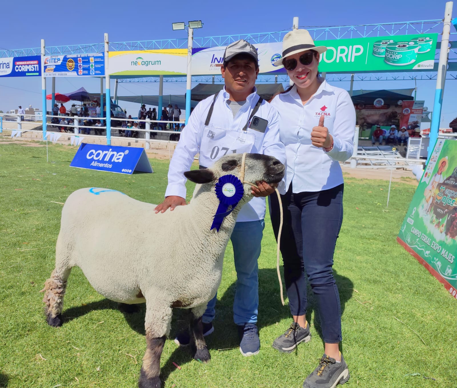 Ganaderos de Candarave arrasaron con los primeros premios en Expo Majes 2023