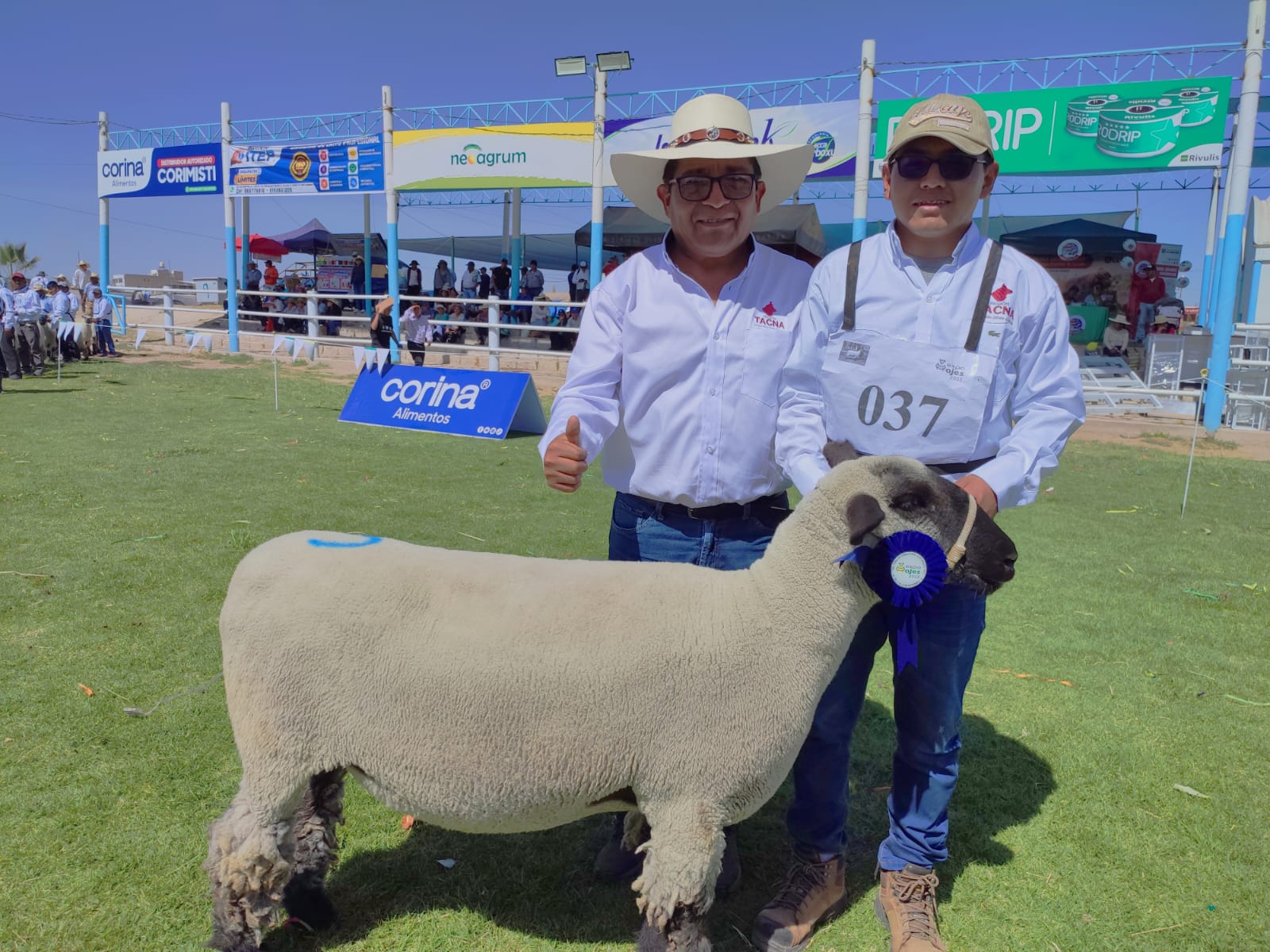 Ganaderos de Candarave arrasaron con los primeros premios en Expo Majes 2023