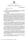 Vista preliminar de documento RD 163