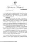 Vista preliminar de documento RESOLUCION DIRECTORAL 164