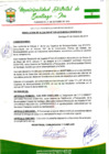Vista preliminar de documento Resolucion de Alcaldia 1328