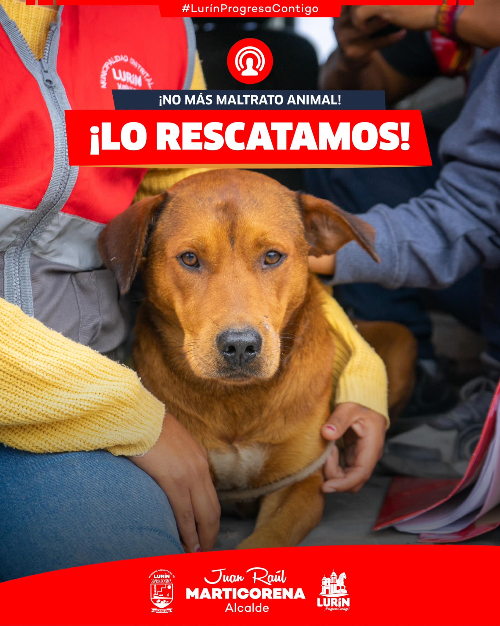 Archivo de JPG sobre una publicación del área de imagen
