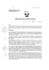 Vista preliminar de documento R.D. 1306-2023
