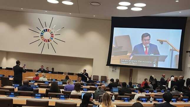 Ministro César Vásquez ratifica en la ONU-