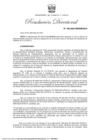 Vista preliminar de documento RD 166 (1)