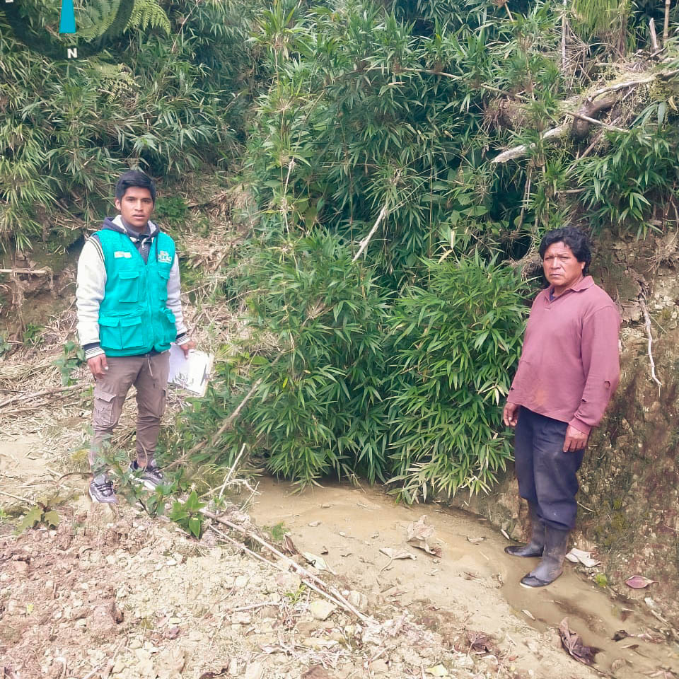 Como parte de la política medioambiental asumida por la Municipalidad Distrital de San Pablo de Pillao, personal técnico de esta institución realizó una inspección en el anexo de Osopampa, constatando que los moradores de esta localidad practican el cuidado del medio ambiente, protegiendo las fuentes de agua y los ecosistemas del lugar.
El personal corroboró que en el anexo existen nueve vertientes de agua y la población está comprometida a cuidarlas. Asimismo, los pobladores de Osopampa se comprometieron a practicar la agricultura de manera sostenible, asegurando que la apertura de nuevas parcelas se realice en coordinación con las autoridades comunales y sin atentar contra el medio ambiente.
El anexo de Osopampa es una de las primeras localidades de San Pablo de Pillao en asumir como prioridad el cuidado del medio ambiente. Similar actitud se espera de otras localidades, ya que las futuras generaciones merecen un entorno saludable.
La Municipalidad Distrital de San Pablo de Pillao, con el apoyo de instituciones aliadas continuará promoviendo capacitaciones y talleres de sensibilización sobre protección del medio ambiente, manejo adecuado de agroquímicos, conservación de fuentes de agua, entre otros.