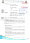 Vista preliminar de documento DIRECTIVA PMI